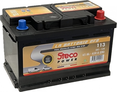 113